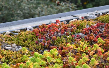 the cost of Renshaw Wood green roof installation